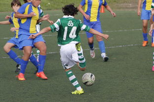 华体会体育网站入口-史诗级逆转战：从落后20分到胜利！，逆转结局是哪一套史诗